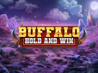Buffalo Hold and Win screenshot
