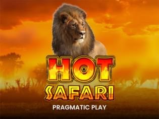 Hot Safari